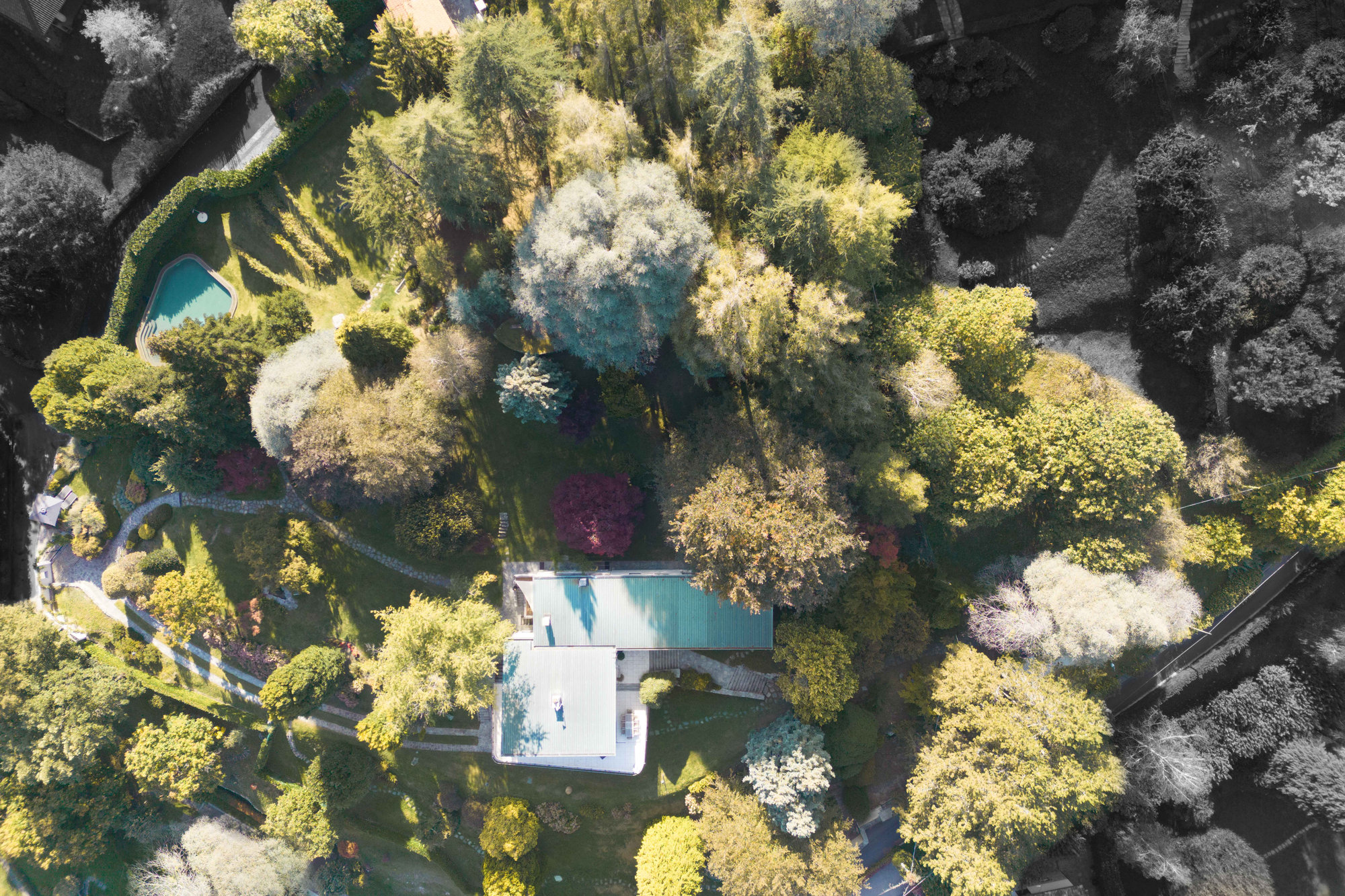 Aerial view of the estate, pool and grounds amid the woods