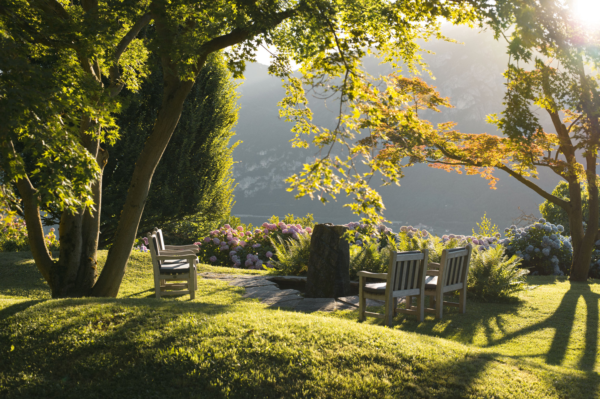 Garden seating among hydrangeas at sunset